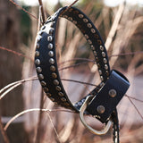 Cinturón Tachuelas Bicolor Negro