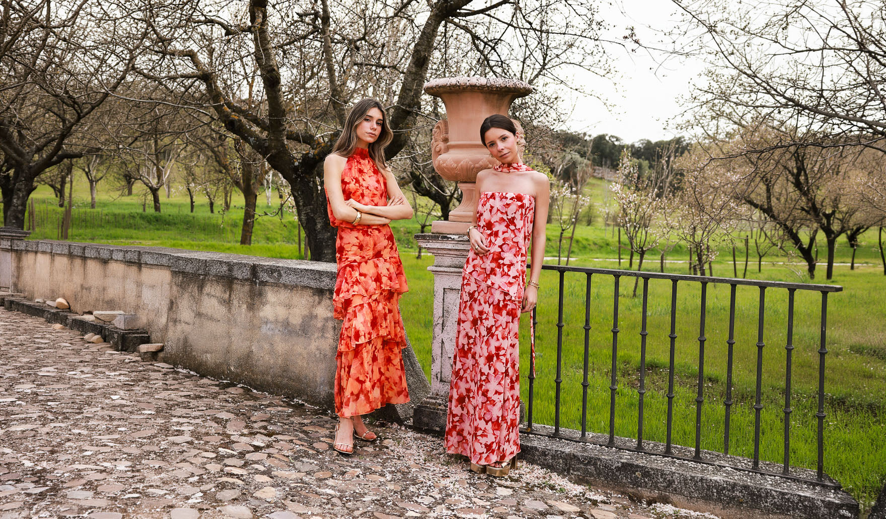 Imagen de diapositiva